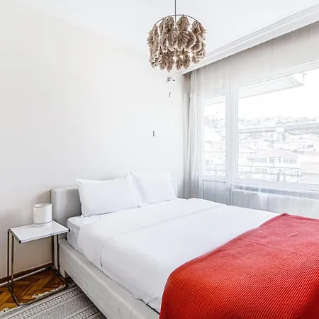 Stylish And Fully Furnished Flat In Ortakoy